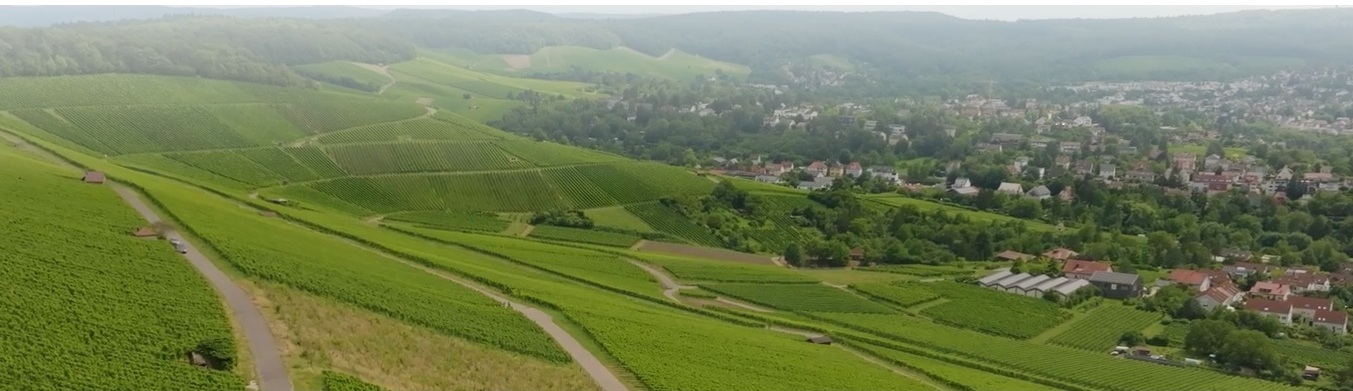 Ballonfahrt Heilbronn
